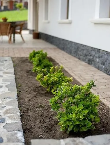 Portico فيلة باداتشونيتوماي